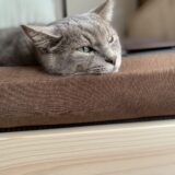 9/24(日)日々の生活で活かす癒しの勉強会